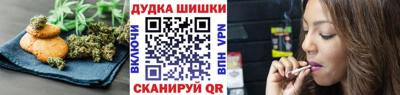 Купить где  Железноводск  Canna-Cookies конопля 