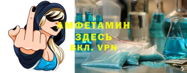 крисы Верхний Тагил