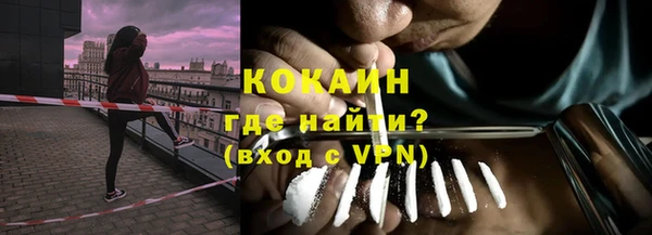 крисы Верхний Тагил