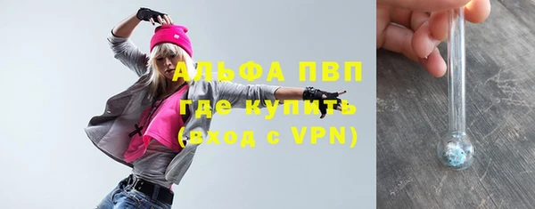 крисы Верхний Тагил