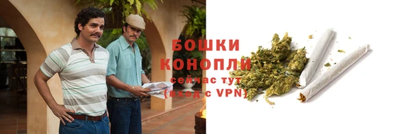 крисы Верхний Тагил