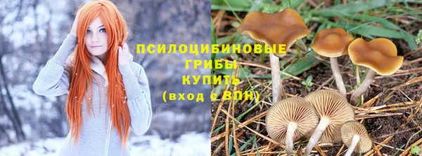 крисы Верхнеуральск