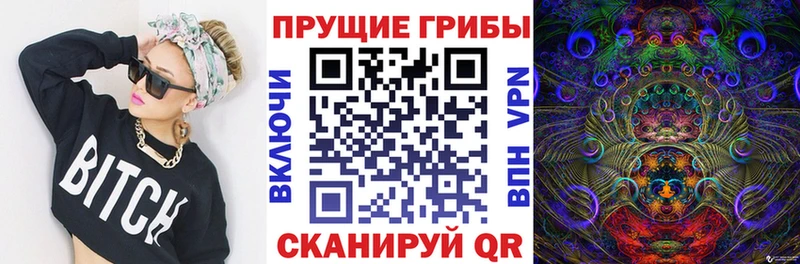 Галлюциногенные грибы Psilocybe  Купить где  Железноводск 